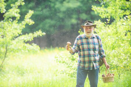 Grandfather with basket of mushrooms and a surprised facial expression. Happy Grandfather.の写真素材