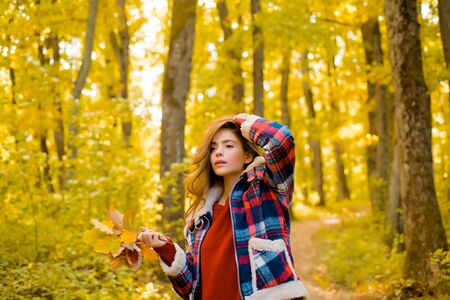 Autumn woman in autumn park with red pullover. Autumn girl. Art work of romantic girl. Warm sunny weather. Autumn outdoor portrait of beautiful happy girl walking in park or forest in warm knitted scarf.の写真素材
