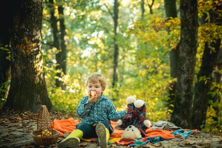 Minute to relax. Autumn picnic with teddy bear. Boy in rubber boots relaxing in forest sit picnic blanket. Cute tourist concept. Kid with toy sit on plaid forest picnic. Child relax in autumn natureの写真素材