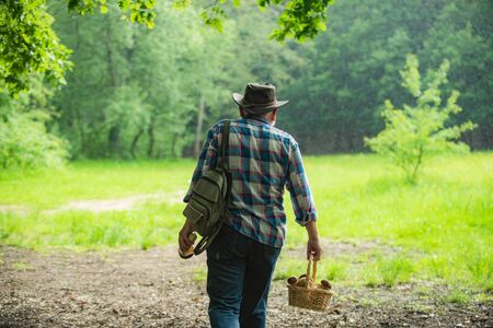 Old man walking. Grandpa Pensioner. Senior hiking in forest.の写真素材