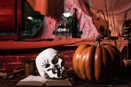 Happy Halloween Weekends. Skull with bug. Preparation Halloween holidays. Halloween 31 Octoberの写真素材