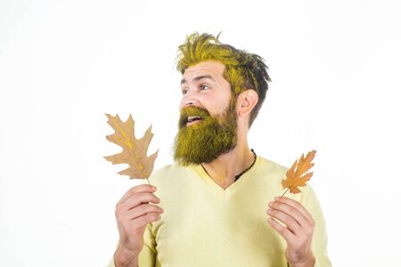 Autumn man in autumn mood posing with yellow leaves - banner with space for text. Autumn sale. Autumn clothing and color trends for man.の写真素材