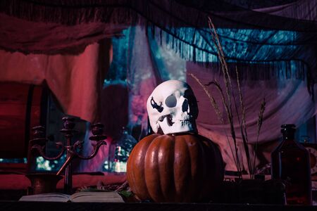 Pumpkin and skull. Halloween decorations. Happy Halloween Weekends. Scary Halloween decoration at home.の写真素材