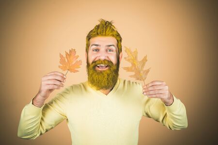 Young bearded man in trendy vintage pullover or sweater. Autumn happy people. Handsome autumn man on fall background.の写真素材