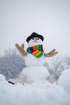 Funny snowman with a carrot instead of a nose and in a warm knitted hat on a snowy meadow on a blurred snow background. Christmas snowman close up with scarf.の写真素材