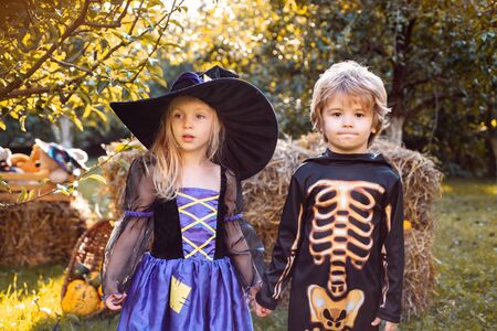 Happy Halloween, cute toddler girl and boy playing outdoors. Halloween portrait of happy cute child. Funny group of friends children in a Halloween costume on Halloween party.の写真素材