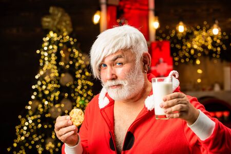 Santa Claus enjoys cookies and milk left out for him on Christmas eve. Santa holding cookie and glass of milk on Christmas tree background. Thanksgiving day and Christmas.の写真素材