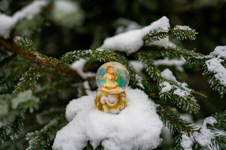 Winterly morning of a new day. Garland with lights. Dramatic overcast sky. Christmas or winter composition. Fresh fir branches. Christmas and New Year holidays background. Christmasの写真素材