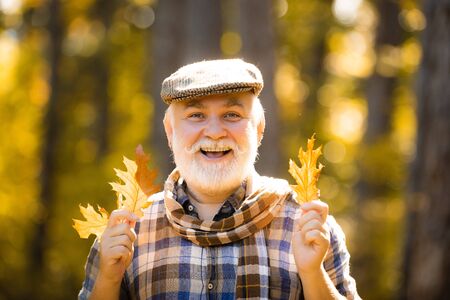 Maple leaf on hiking trail in park. Elderly man smiling outdoors in nature. Healthy active senior...