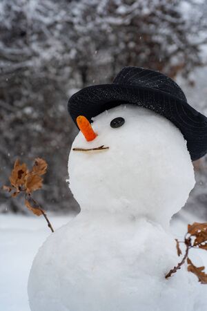 Happy snowman standing in winter Christmas landscape. Snowman isolated on snow background. Snowman and snow day. Snowman on the background of stars and snowflakes.の写真素材
