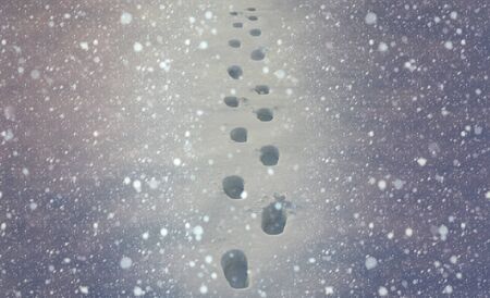Winter background. footstep on snow. Tracks in the fresh snow. Traces of people on white snow, snowdrift.の写真素材