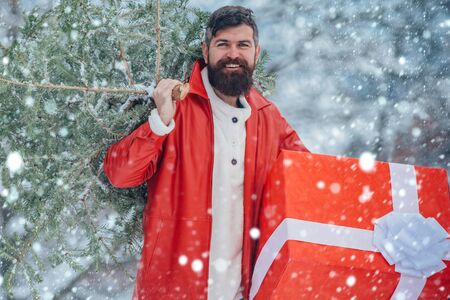 Merry Christmas and Happy Holidays. Purchase and delivery of conifer on Christmas Eve. Christmas lumberjack with axe and Christmas tree. Man in snow.の写真素材