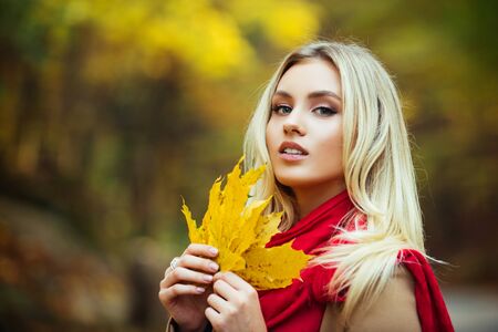 Autumnal queen walking in the park. Attractive female holding fallen yellow leaves. Girl wearing bright red cozy and warm scarf. Close up portrait of blonde with angel beauty.の写真素材