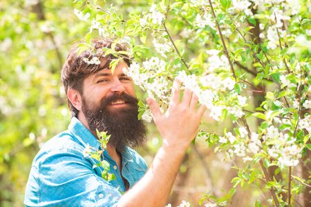 Farmer examining Common fig crop in plantation or field. Handsome young man on spring background...