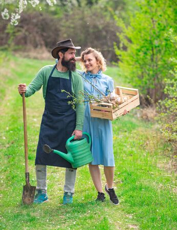 Wife and husband spend time in the orchard. A pair of farms carries boxes with vegetables and greens along the field.の写真素材