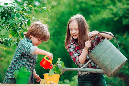 Watering flowers in garden. Children farmer in the farm with countryside background. Cute little boy and girl watering plants in the garden at spring day.の写真素材