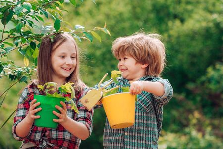 Happy little farmers having fun on field. Brother and sister playing together in the garden. Happy Valentines day.の写真素材
