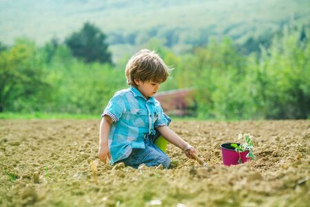 Gardening activity with little kid. Child care plants. CHild gardening in the backyard garden. Happy little farmer having fun on field.の写真素材