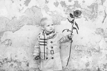 Little boy Celebrate Valentines Day. Gift, Romantic and Date. Valentines Day Cards. Saint Valentine.の写真素材