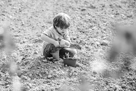 Gardening with a kids. Planting flowers. Child play in spring garden. Making world green. Kid portrait on farmland.の写真素材