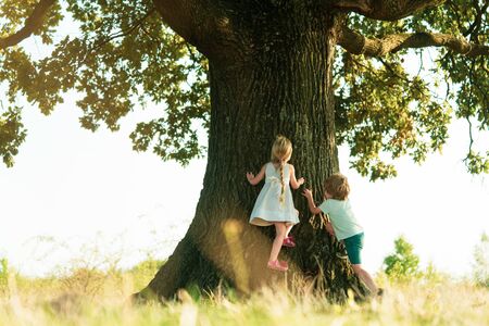 Children playing. Kids walk outdoors and enjoy walking. Childhood friends.の写真素材