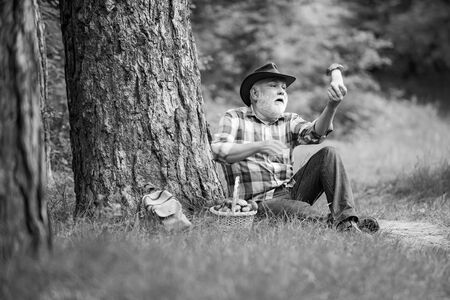 Mushrooming in forest, Grandfather hunting mushrooms over summer forest background. Mushroomer gathering Mushroom hunting. Man cutting a white mushroom.の写真素材