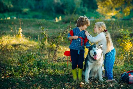 Camping tourism and vacation concept. Carefree childhood. A little blond girl and cute boy with her pet dog outdooors in park. Childhood memories.の写真素材