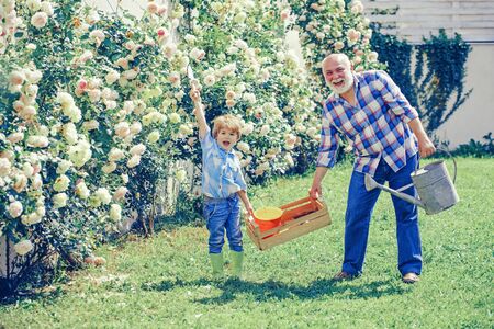 Grandfather and grandson. Old and Young. Concept of a retirement age. Little helper in garden. Bearded Senior gardener in an urban garden.の写真素材
