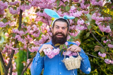 Easter Day. Man preparation for Easter. Bearded man with easter eggs on sprig garden. Easter hunt....