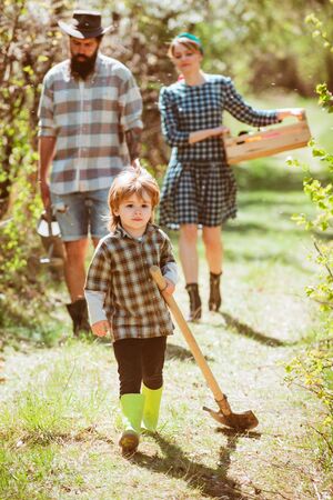 Son helper. Family walking in agricultural field. Son help Family working on organic farm in spring.の写真素材