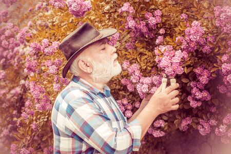Bearded man farmer in the park with countryside background. Hipster farmer relaxing at nature background.の写真素材