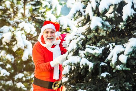 Merry Christmas and Happy New Year concept. Christmas Celebration holiday. The morning before Christmas.の写真素材