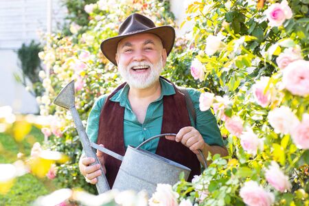 Middle aged man portrait holding watering can on roses garden. Gardening hobby. Spring gardening routine. Happy senior man gardening in the backyard garden.の写真素材