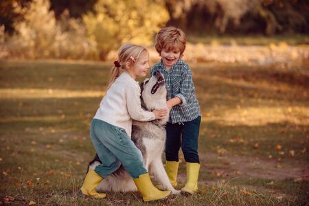 Little girl and boy with pet dog exploring nature vacation. Children with a dog hiking along the nature. Toddlers age. Little kids in village.の写真素材