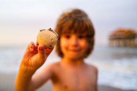 Shells at little kid hands. Child exploring nature. Cute, happy child holding shell at the beach.の写真素材
