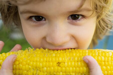 Close-up portrait of cute little child eating yellow sweet corncob corn. Farming and autumn crops concept.の写真素材