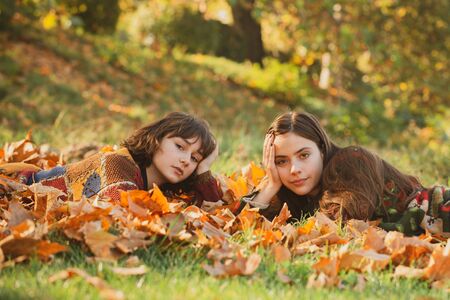 Portrait of two cute girls lying on the leaves at the autumn park. Outdoor. Beautiful girls lying in yellow leaves in autumn park. Two girls cheerfully spend time in the autumn park.の写真素材
