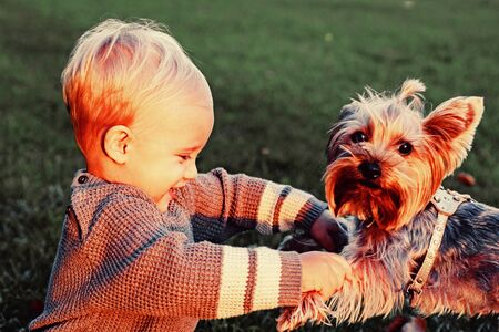Happy baby boy having fun playing with little puppy dog in autumn park. Smiling baby kid with blonde hair plays at beautiful sunny autumnal evening. Childhood conceptの写真素材
