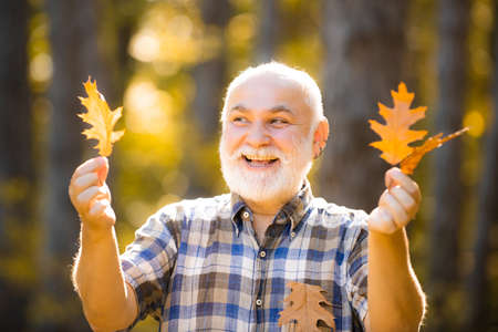 Active senior man having fun and playing with the leaves in autumn forest. Fallen autumn leaves...