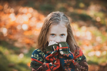 Adorable happy girl. Posing. Little girl in autumn orange leaves. Little girl in the park. Happy child girl outdoors. Happy kid on a background of autumn.の写真素材