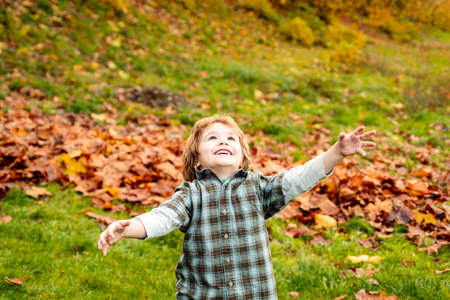 Autumn child portrait. Happy child throwing the fallen leaves up, playing in the autumn park. Kids walking in autumn park. Cute boy playing with maple leaves outdoors. Toddler wears Autumn.の写真素材