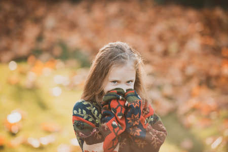 Adorable girl portrait on beautiful autumn day. Adorable happy girl in autumn park. Smiling girl and...