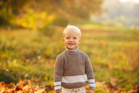 Smiling kid enjoy autumn nature has happy face. Child happy portrait. Adorable autumn kids with leaves in the beauty park. Smile kids face.の写真素材
