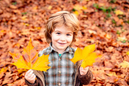 Autumn portrait of cute little caucasian boy.