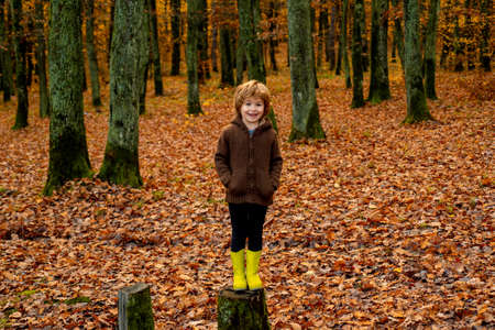 Cute child in vintage clothes on autumn leaves background. Beautiful fall time in nature.の写真素材