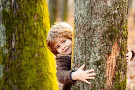 Cute little kid boy enjoying climbing on tree on autumn day. Cute child in autumnal clothes learning to climb, having fun in forest or park on warm sunny day. Happy fall time in nature.の写真素材