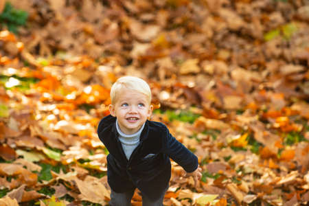 Kids in autumn park on yellow leaf background. Autumn portrait of cute little caucasian boy.の写真素材