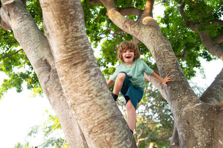 Insurance kids. Kid boy in forest climbing up tree in countryside. Health care insurance concept for...