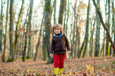Little boy in leaves in autumn clothing. Happy kid having fun in autumn park on warm day.