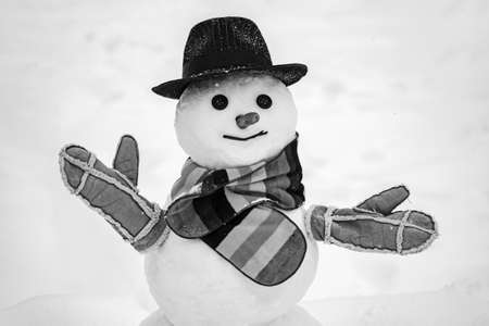 Cute snowman at a snowy village.の写真素材